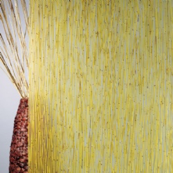 Resin panel with yellow mini-bamboo